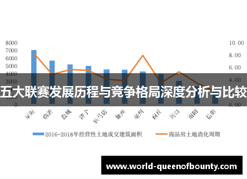 五大联赛发展历程与竞争格局深度分析与比较