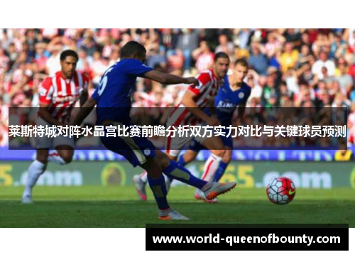 莱斯特城对阵水晶宫比赛前瞻分析双方实力对比与关键球员预测