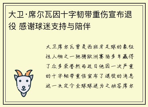 大卫·席尔瓦因十字韧带重伤宣布退役 感谢球迷支持与陪伴