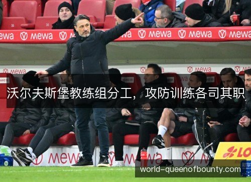沃尔夫斯堡教练组分工,攻防训练各司其职 沃尔夫斯堡教练组分工,攻防训练各司其职